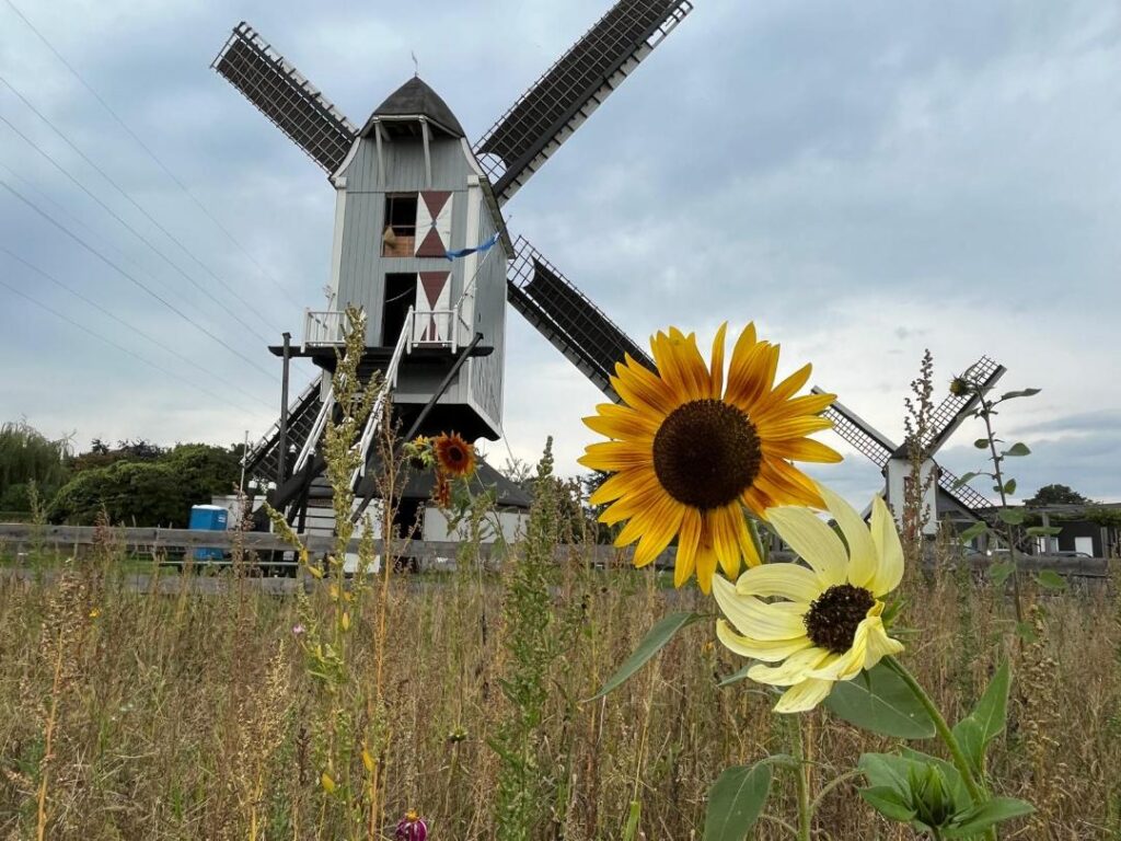 De Sint Anthonius molen in Kessel