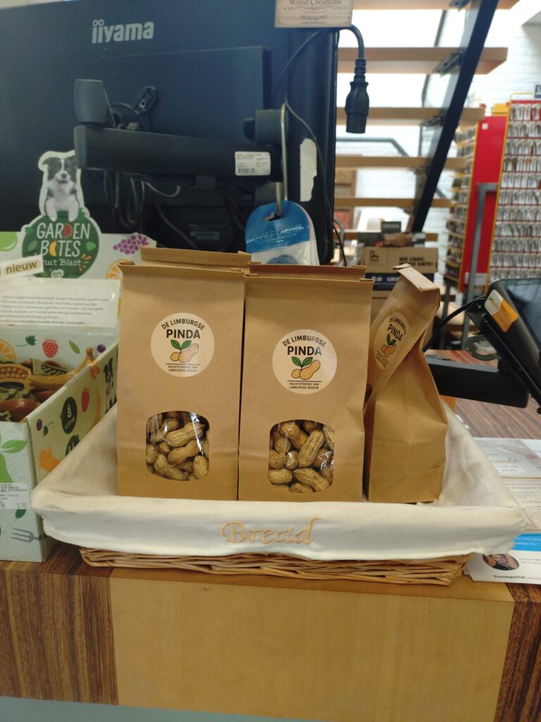 Pinda’s groeien ook in Kessel