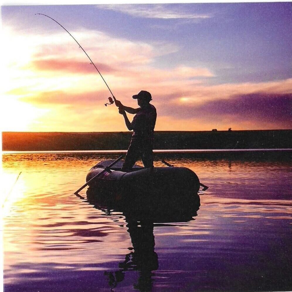 FB_IMG_1762935479365