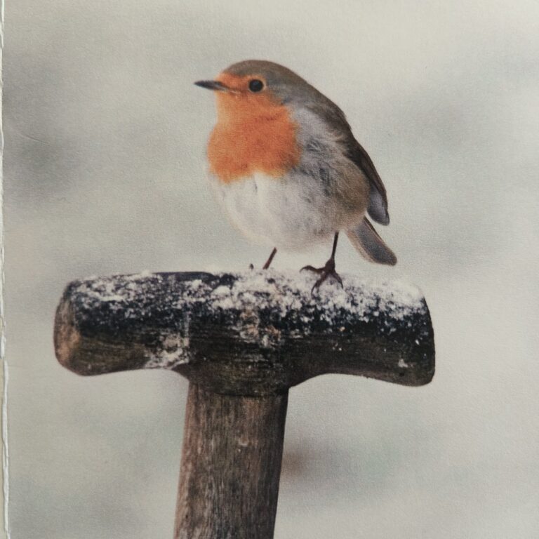 Mia van Bergen-Willems